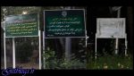 ورود ساز به پارک‌ها آزاد شد